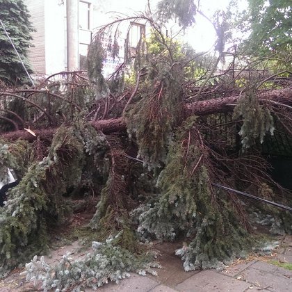 Bałuty. Skutki porannej nawałnicy, fot. Hanna Zubrzycka / UMŁ