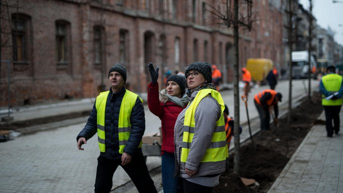 Na ulicy Gdańskiej sadzone są palmety - drzewa uformawane tak, by ich korony utworzyły wąską, zieloną ścianę. Na ulicy Gdańskiej sadzone są palmety - drzewa uformawane tak, by ich korony utworzyły wąską, zieloną ścianę. - fot. Witold Ancerowicz
