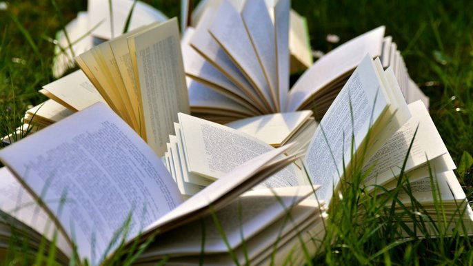 Od 5 lipca 2019 r. rusza akcja „Przeczytaj i podaj dalej” czyli Wakacyjny Bookcrossing w Ogrodzie Botanicznym. Od 5 lipca 2019 r. rusza akcja „Przeczytaj i podaj dalej” czyli Wakacyjny Bookcrossing w Ogrodzie Botanicznym. - fot. CC0