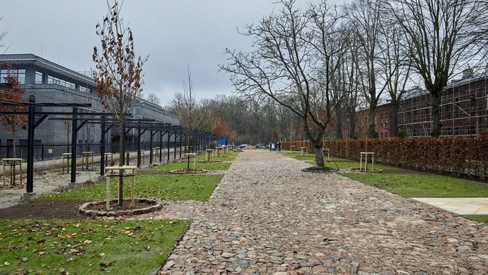 Wyjątkowa inwestycja. Na Księżym Młynie powstaje pierwszy zielony parking Wyjątkowa inwestycja. Na Księżym Młynie powstaje pierwszy zielony parking - fot. Radosław Jóźwiak / UMŁ