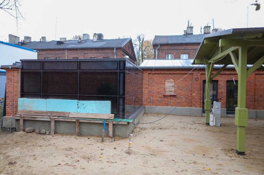 fot. Konrad Ciężki / UMŁ