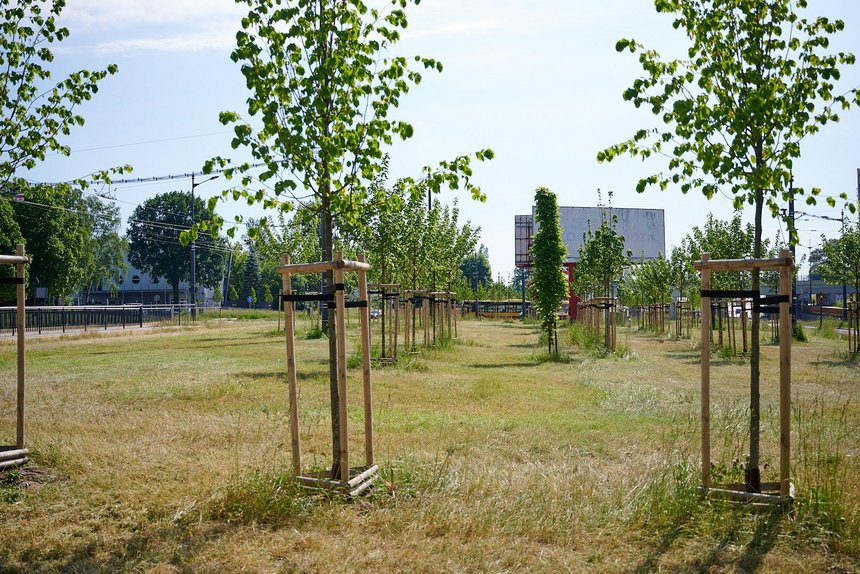 Zielona Łódź