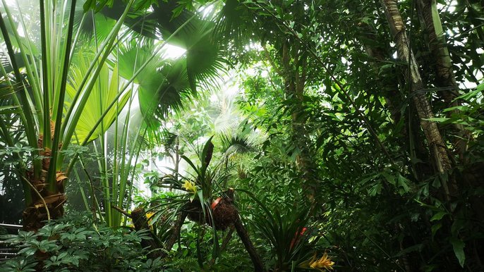 - Senioralia 2024 w Palmiarni Ogrodu Botanicznego