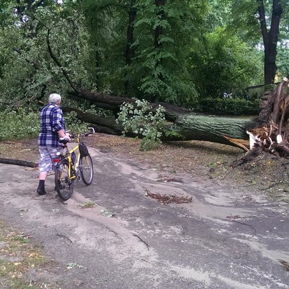 Bałuty. Skutki porannej nawałnicy, fot. Hanna Zubrzycka / UMŁ