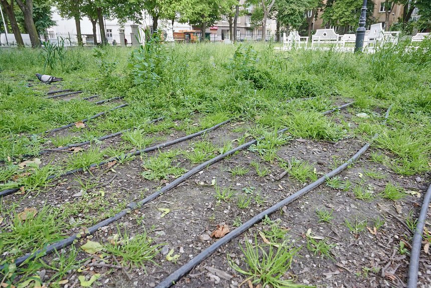 fot. Sebastian Glapiński / UMŁ