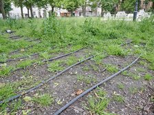 fot. Sebastian Glapiński / UMŁ