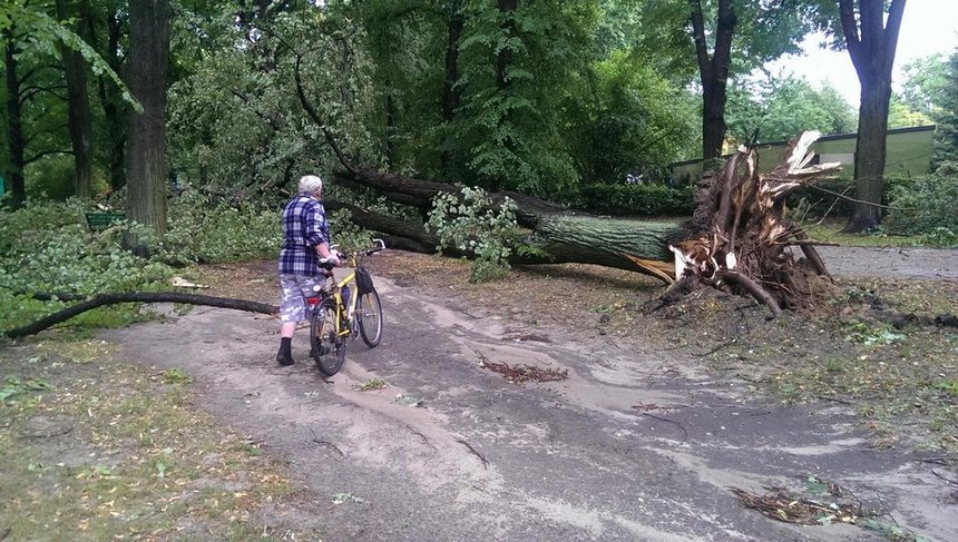 fot. Hanna Zubrzycka / UMŁ