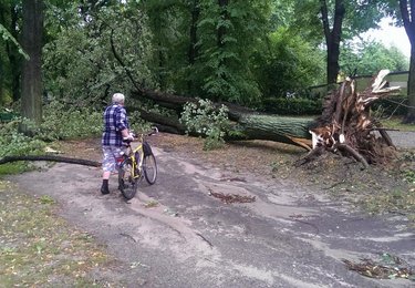 fot. Hanna Zubrzycka / UMŁ