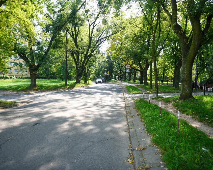 fot. Paweł Łacheta / UMŁ