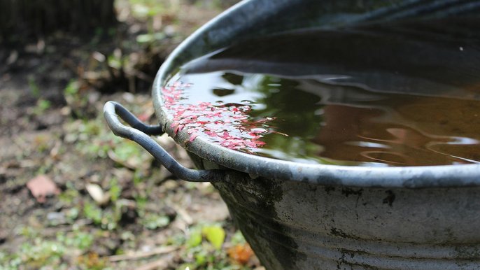 Łódź dofinansuje zakup urządzeń do gromadzenia deszczówki 
