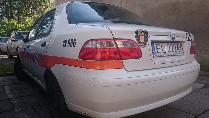 Wykroczenia w ruchu drogowym