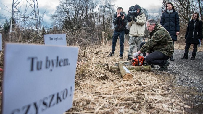 Wycinka drzew przy zbiegu ulic Warszawskiej i Tęczowej Wycinka drzew przy zbiegu ulic Warszawskiej i Tęczowej - Witold Ancerowicz, UMŁ