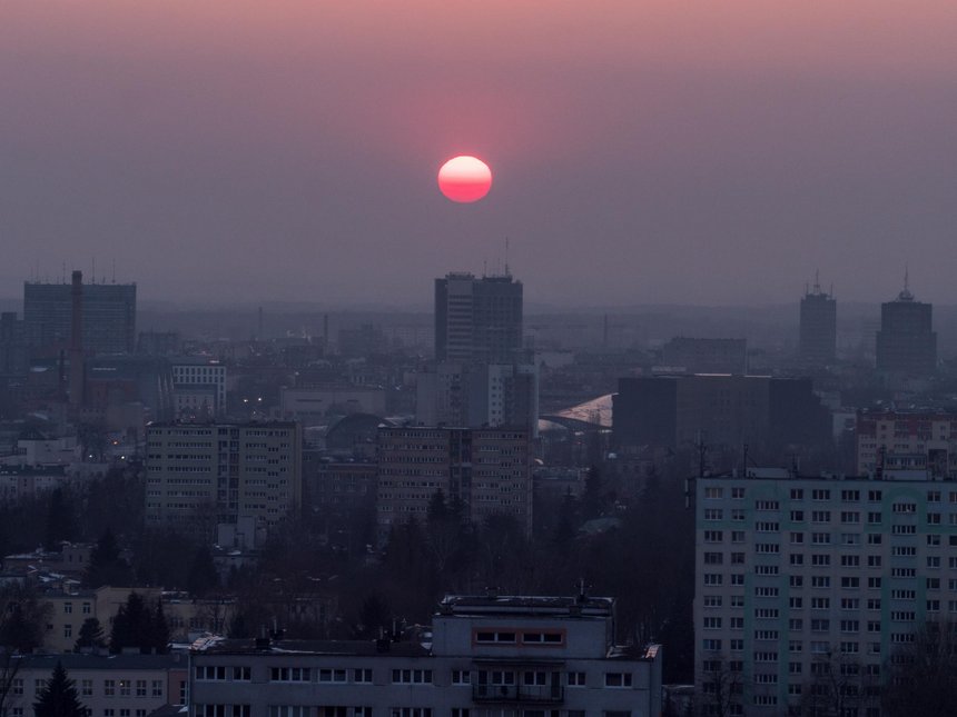 fot. Stefan Brajter / UMŁ