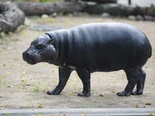 fot. Paweł Łacheta