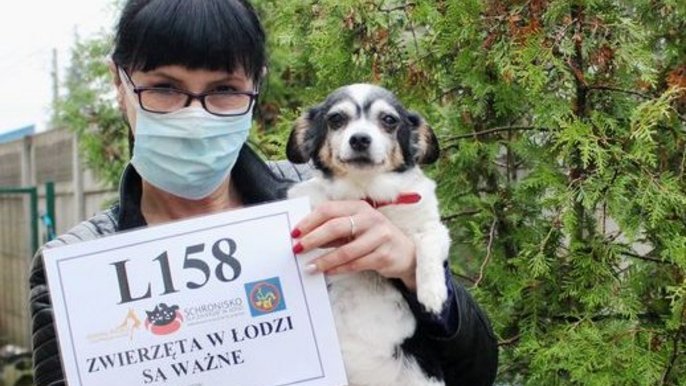 Zwierzęta w Łodzi są ważne Zwierzęta w Łodzi są ważne