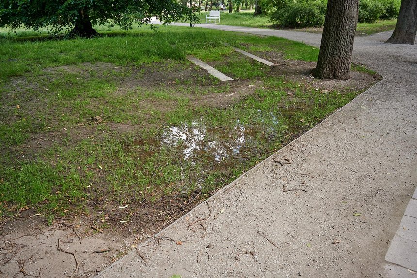 fot. Sebastian Glapiński / UMŁ