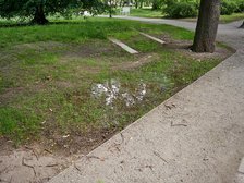 fot. Sebastian Glapiński / UMŁ