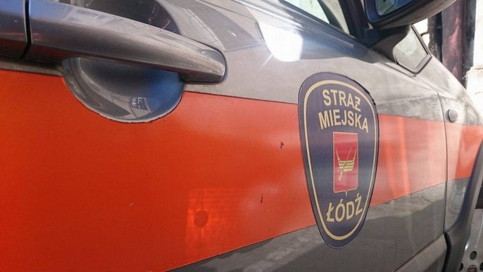 Kierujący na bakier z przepisami Kierujący na bakier z przepisami