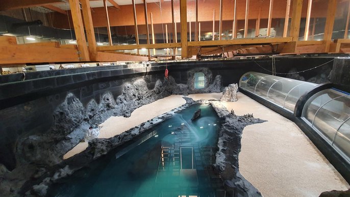 Główny zbiornik - Orientarium; fot. Paweł Kowski Główny zbiornik - Orientarium; fot. Paweł Kowski