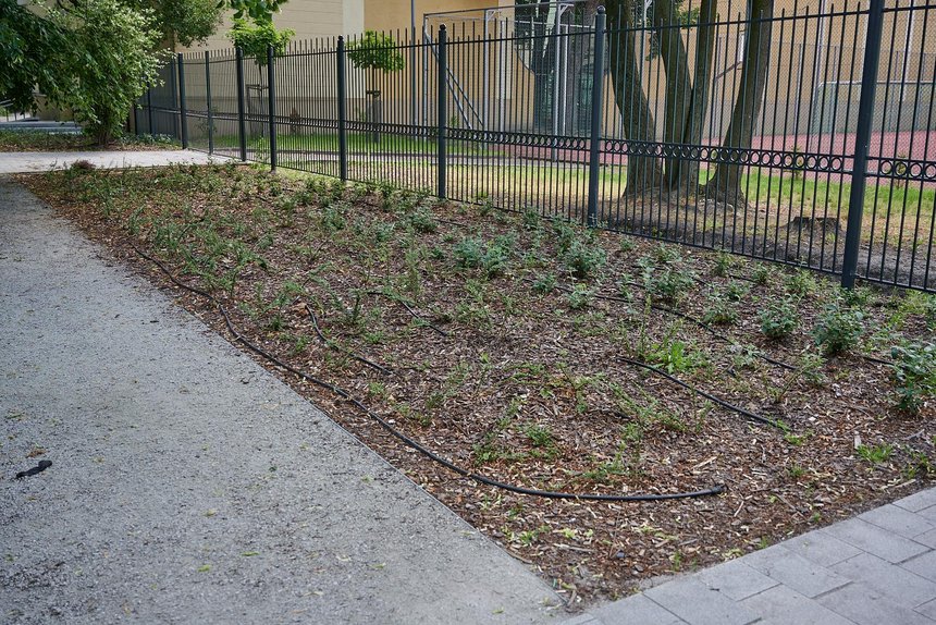 fot. Sebastian Glapiński / UMŁ