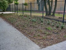 fot. Sebastian Glapiński / UMŁ