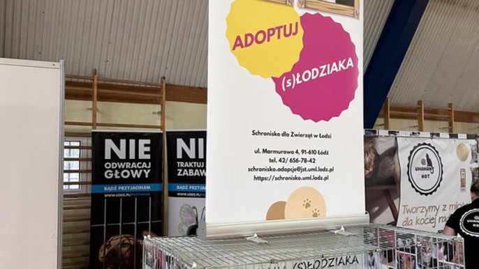 Zdjęcie z obchodów Światowego Dnia Kota. Zdjęcie z obchodów Światowego Dnia Kota. - Klatka kenelowa, a na niej roll up promujący świadomą adopcję z łódzkiego schroniska.