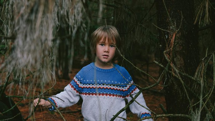  - Chłopiec w szaro-niebieskim swetrze stoi pośrodku lasu.
