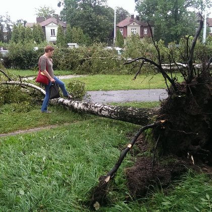Bałuty. Skutki porannej nawałnicy, fot. Hanna Zubrzycka / UMŁ