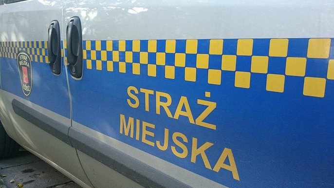 Złamane przepisy ruchu drogowego Złamane przepisy ruchu drogowego