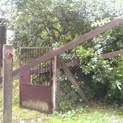 Bałuty. Skutki porannej nawałnicy, fot. Hanna Zubrzycka / UMŁ