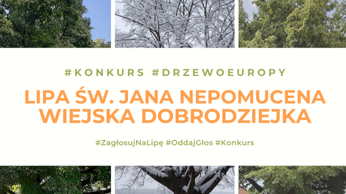Europejskie drzewo roku Europejskie drzewo roku