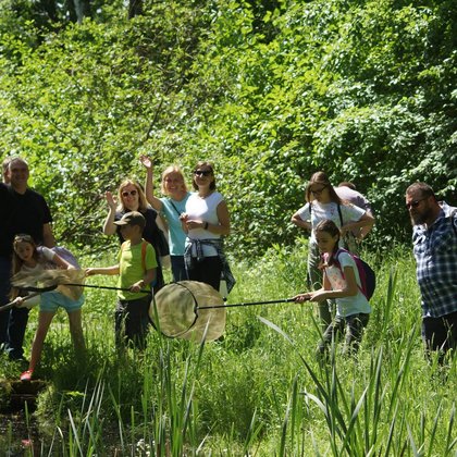 Akademia Różnorodności - łódzkie spotkania z ważkami, fot. Ogród Botaniczny
