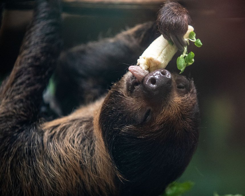 fot. Zoo w Łodzi