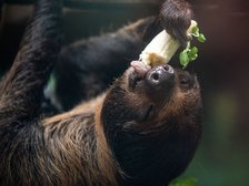 fot. Zoo w Łodzi