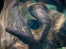 fot. Zoo w Łodzi