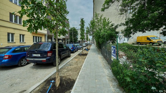 Ponad półtora tysiąca drzew pojawi się w tym roku na łódzkich ulicach. Ponad półtora tysiąca drzew pojawi się w tym roku na łódzkich ulicach. - Fot. Radosław Jóźwiak/UMŁ