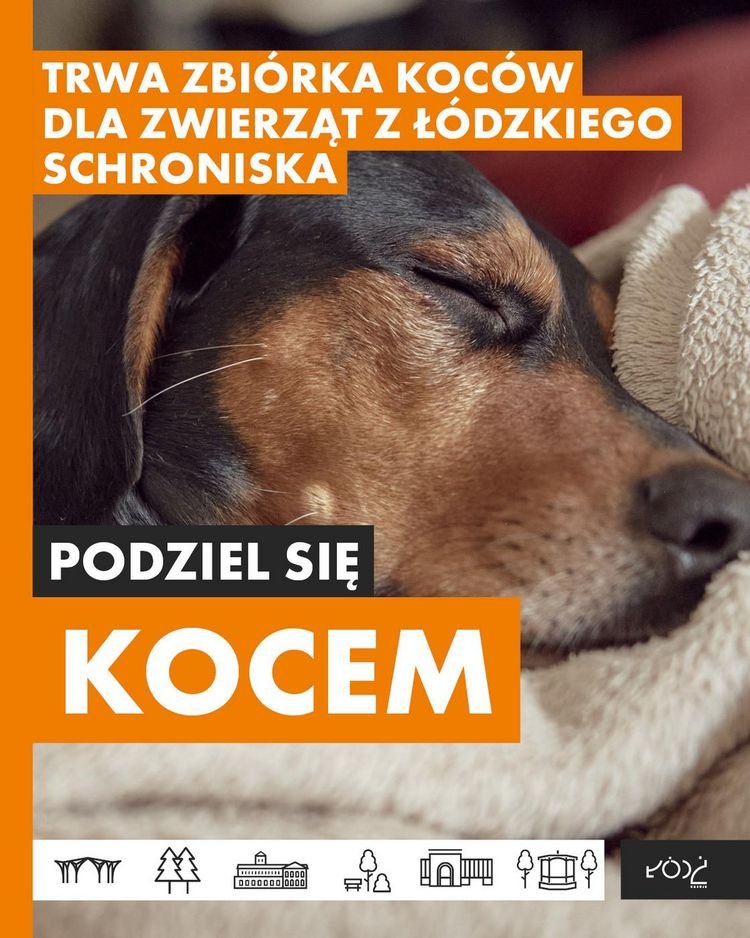 Podziel się kocem - plakat