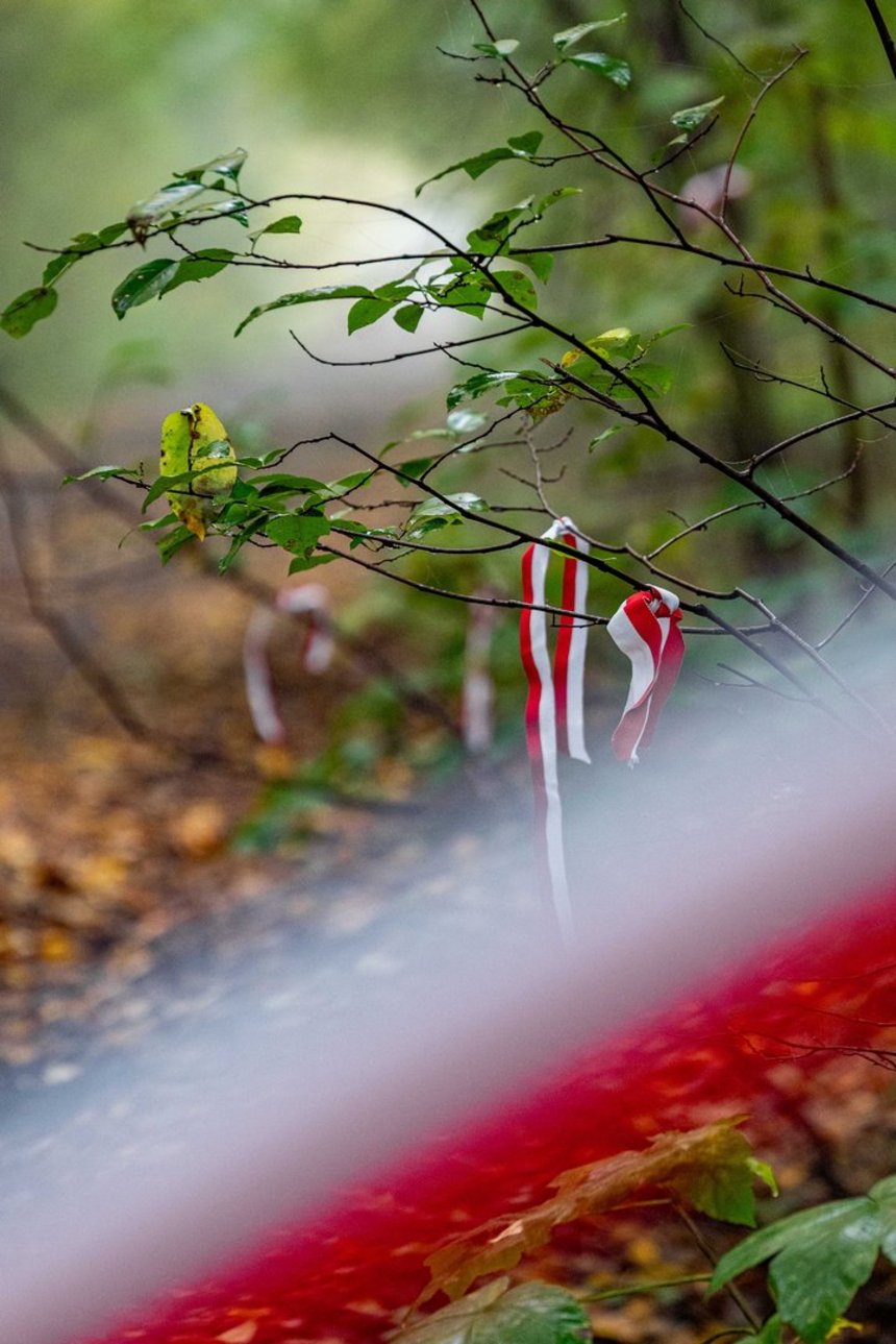  Fot. P. Wacławiak, UMŁ. 