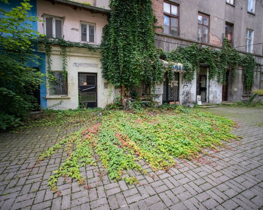 fot. Paweł Łacheta