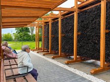 fot. Paweł Łacheta