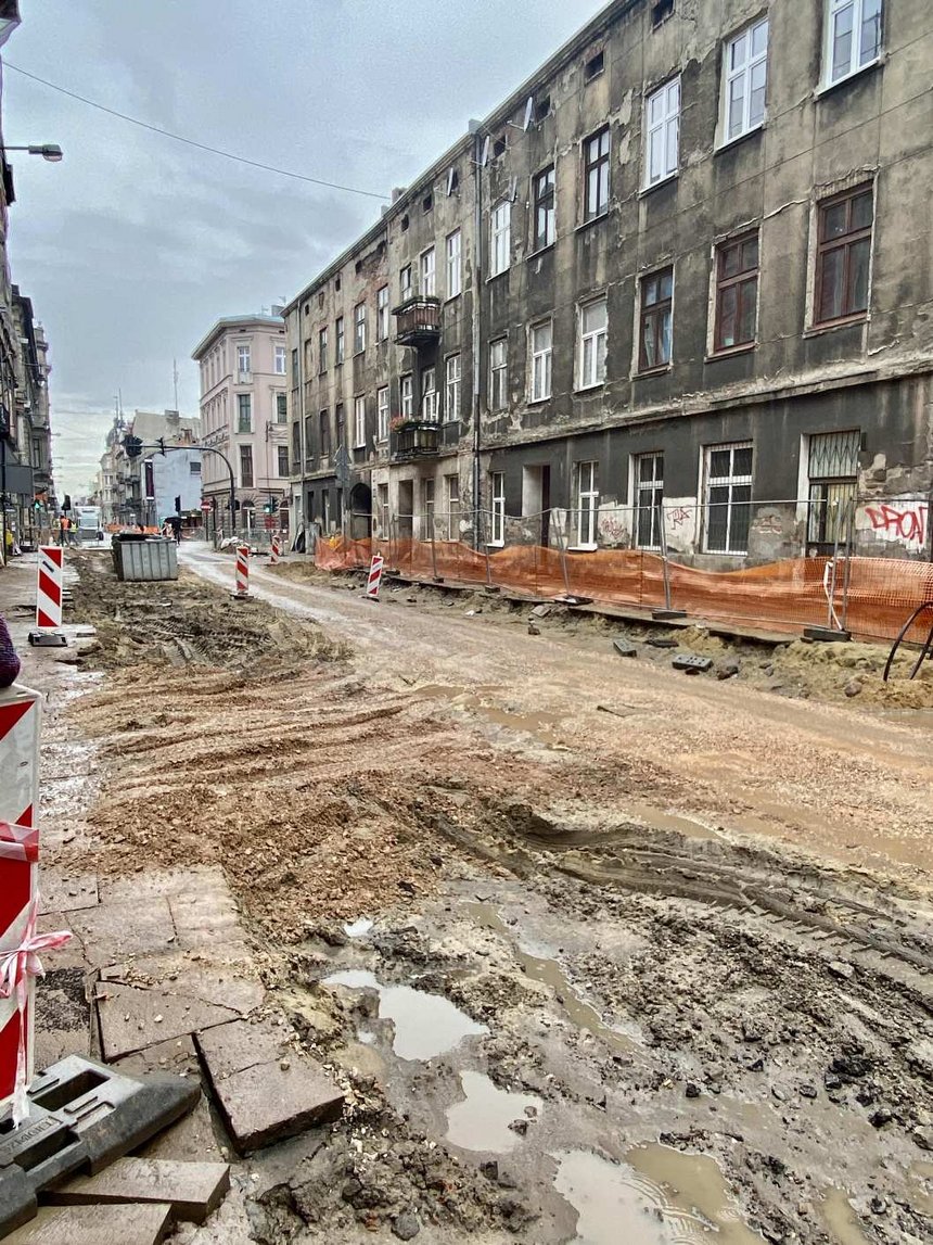 fot. Stefan Brajter / UMŁ
