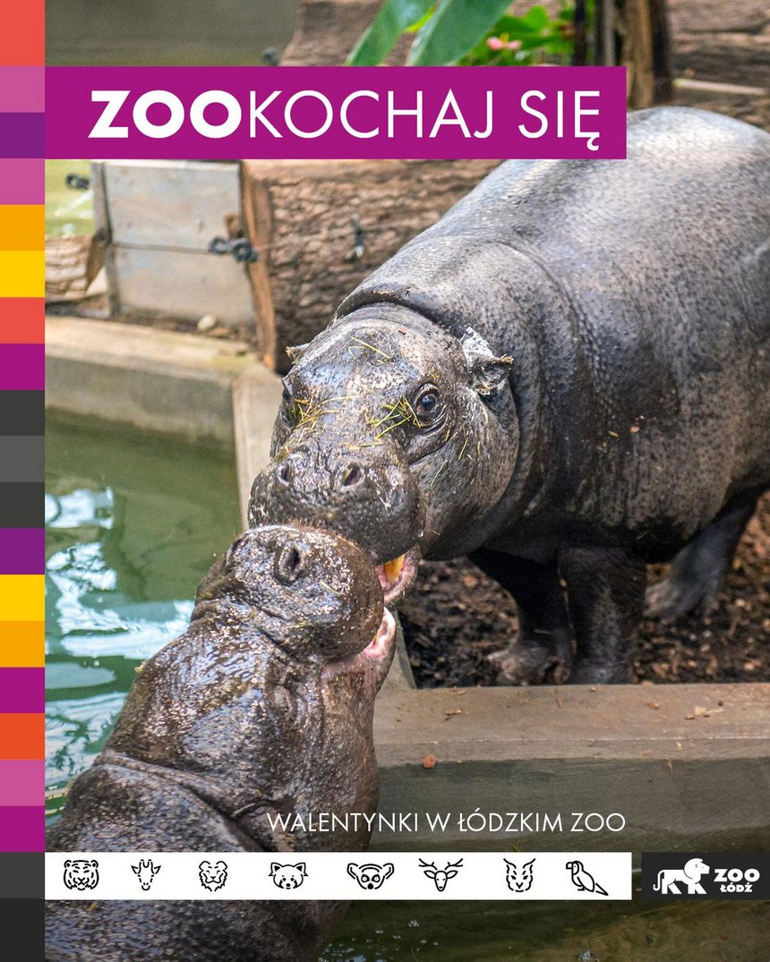 Walentynki w ZOO