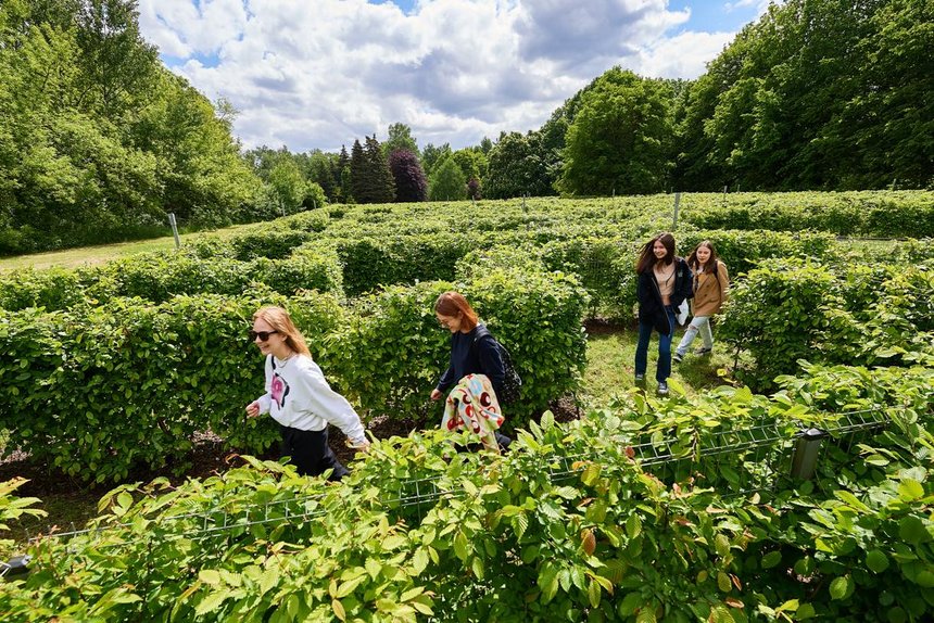 Labirynt w Ogrodzie Botanicznym