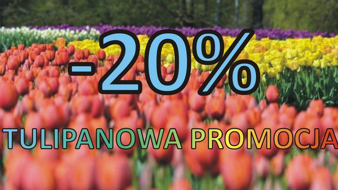 Tulipanowa promocja Tulipanowa promocja - Zoo Łódź
