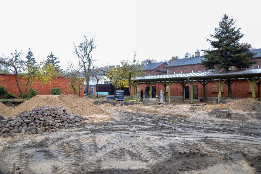 fot. Konrad Ciężki / UMŁ