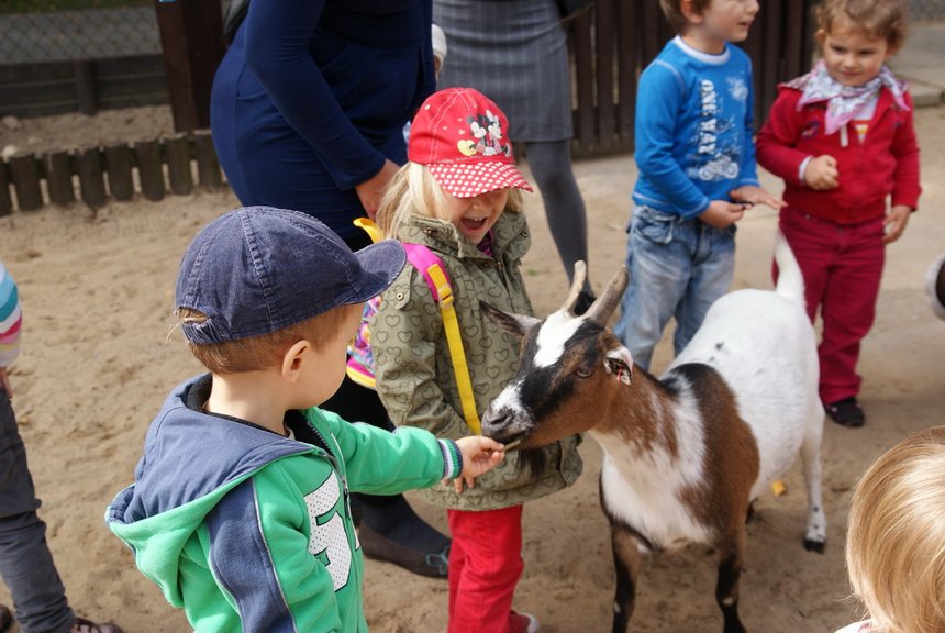 ZOO ŁÓDŹ Ewa Szkudlarek