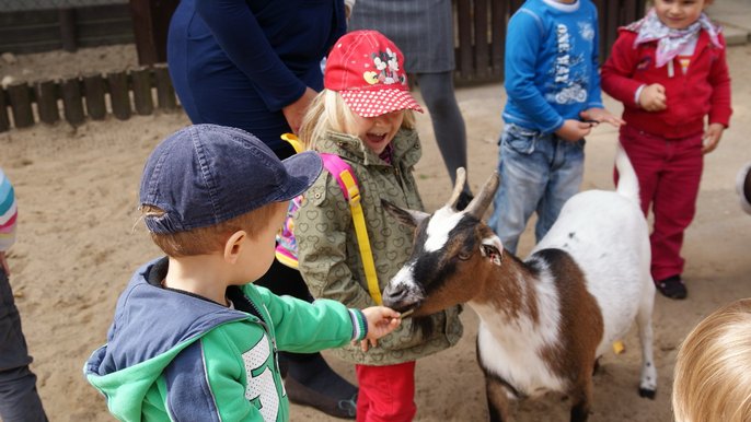 ZOO ŁÓDŹ ZOO ŁÓDŹ - Ewa Szkudlarek