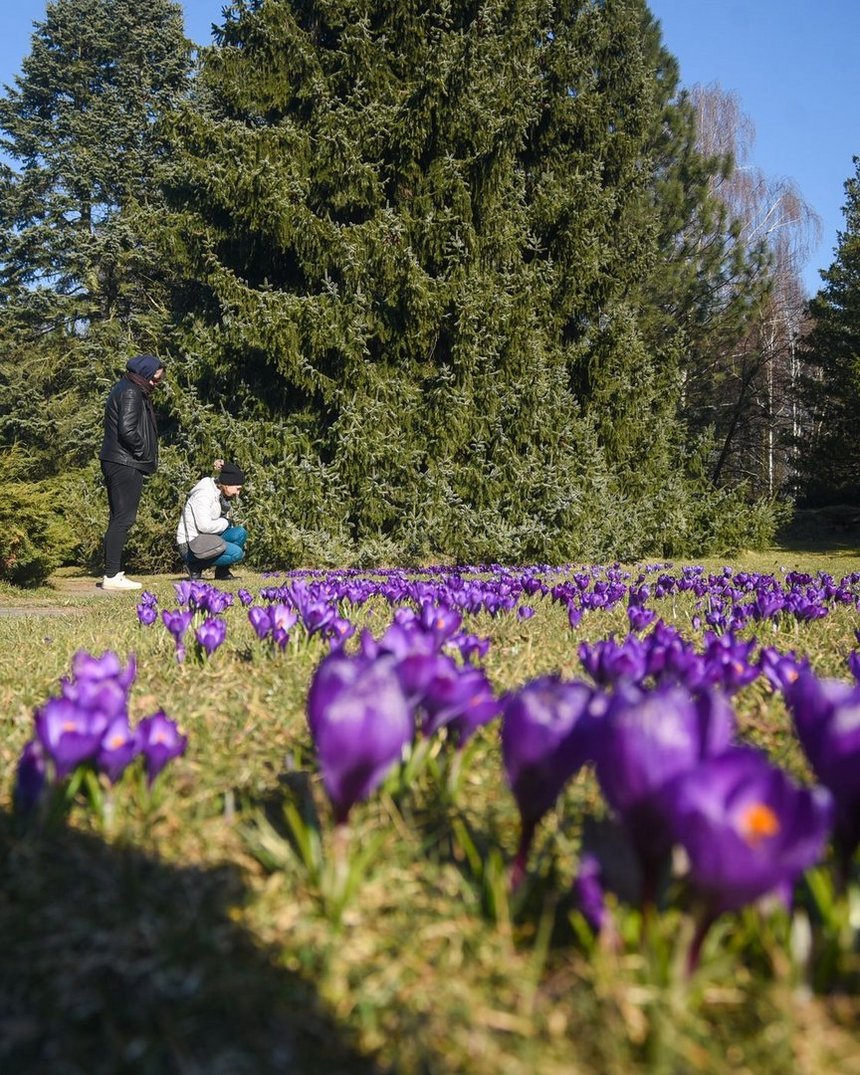 fot. Łódź.pl