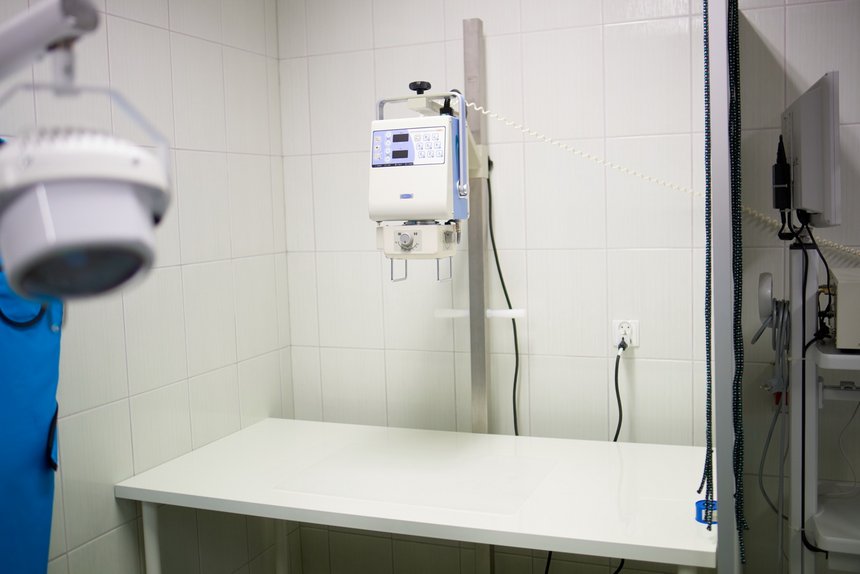Łodzianie co roku podczas głosowania w Budżecie Obywatelskim wspierają Ośrodek Rehabilitacji Dzikich Zwierząt – do tej pory wygrało aż pięć projektów.