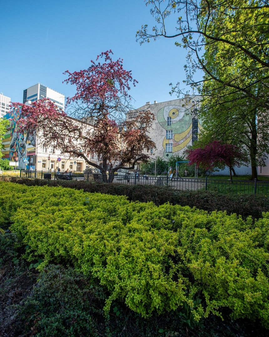 Zielone centrum Łodzi